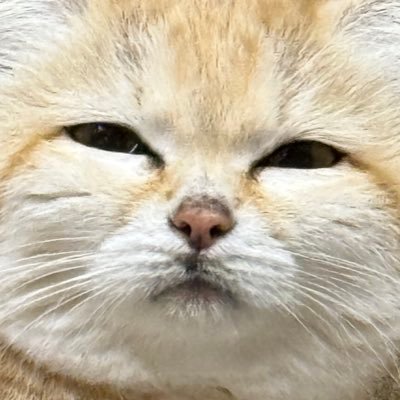 Twitterアイコン
